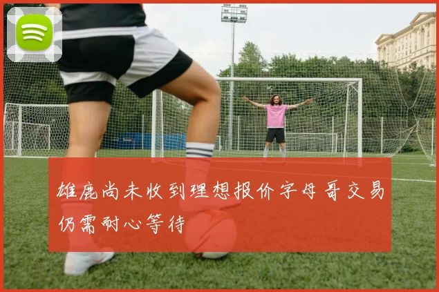 雄鹿尚未收到理想报价字母哥交易仍需耐心等待